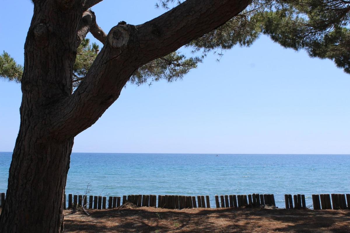 Bord de mer, pieds dans l'eau, vue panoramique Villa Сан-Николао Екстериор снимка